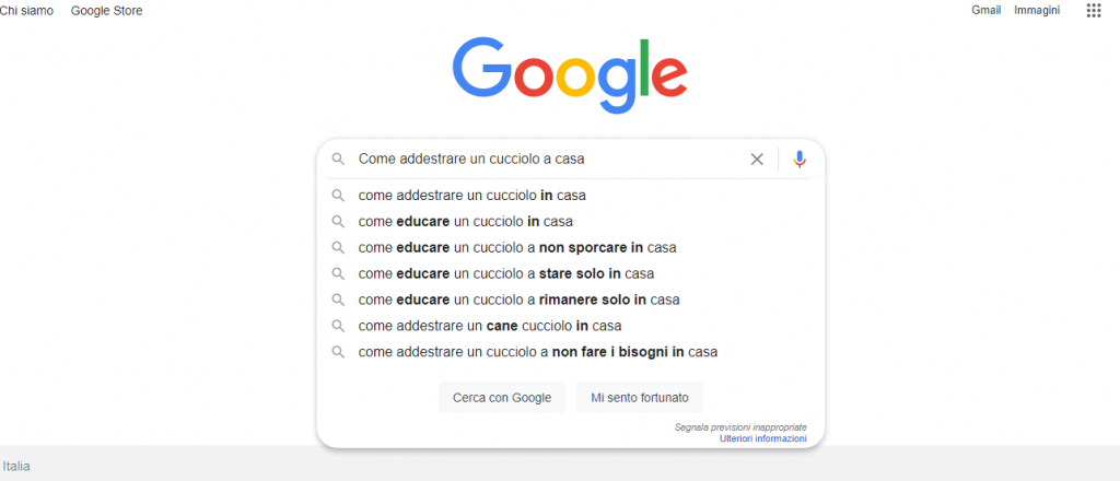 avere successo online nicchia google