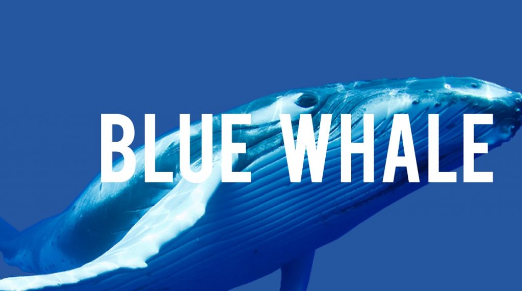 blue whale gioco