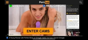 come guadagnare con pornhub